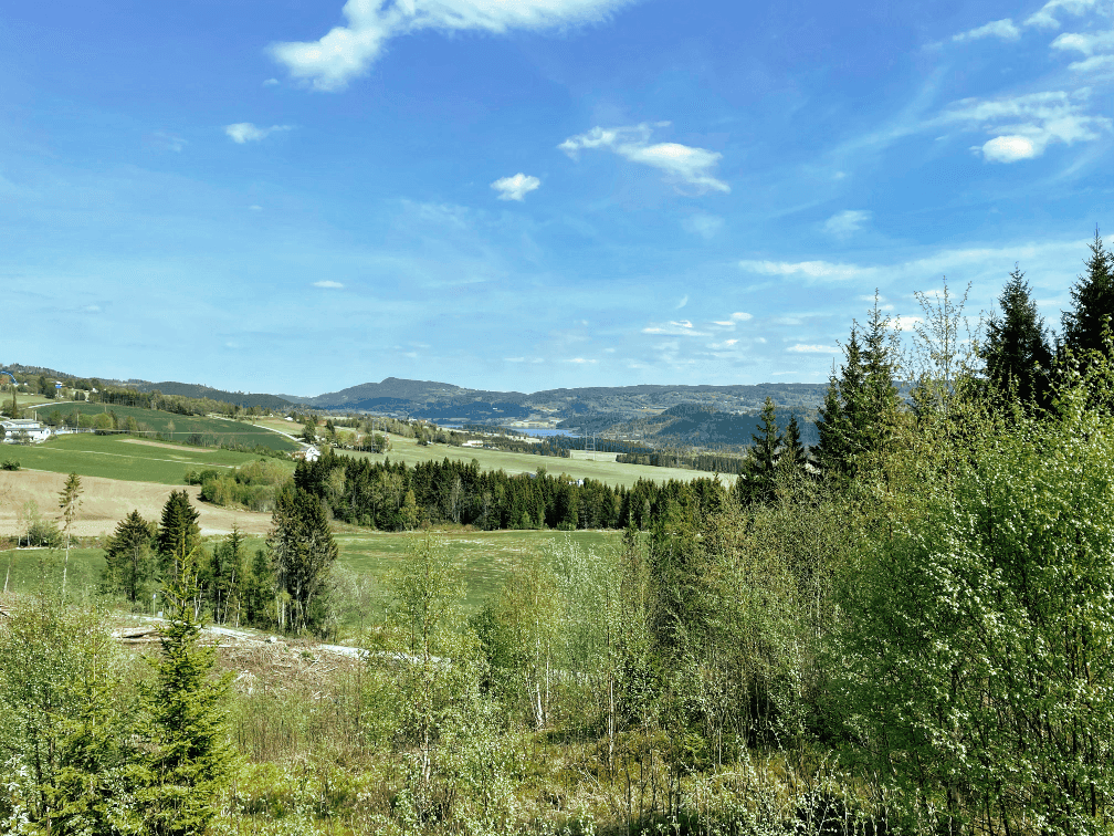 Hegglia Boligfelt Dronebilde